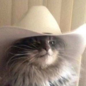 Meet your Posher, Tonya